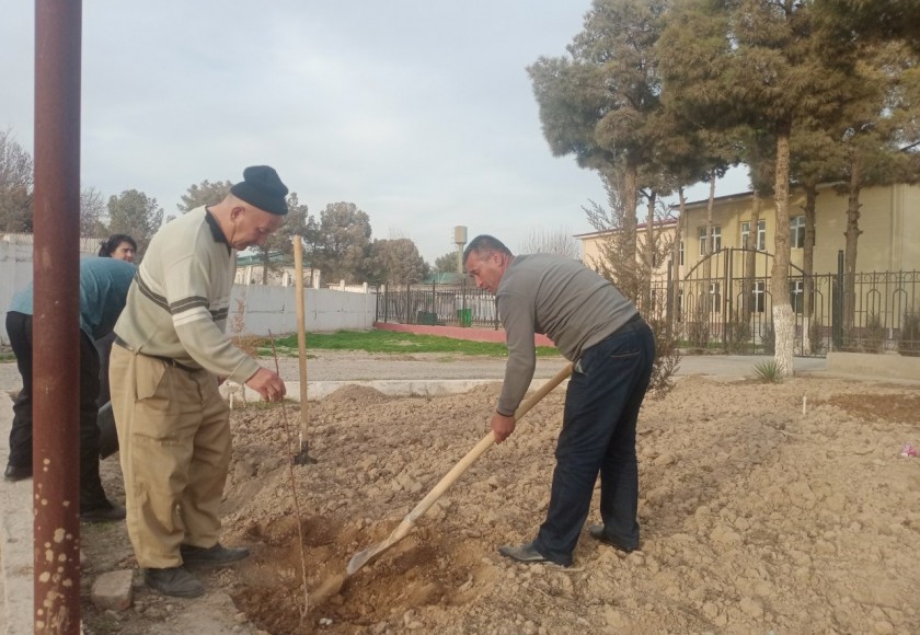 "Yashil makon" umummilliy loyihasi doirasida Termiz shahridagi barcha mahallalar hududlari va aholi tomorqalarida mevali va manzarali daraxt ko‘chatlarini ekish ishlari davom etmoqda.