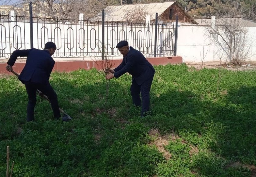 Termiz davlat pedagogika institutining Maktabgacha taʼlim fakulteti hududida «Yashil makon» umummilliy loyihasi doirasida obodonchilik ishlari amalga oshirilmoqda.